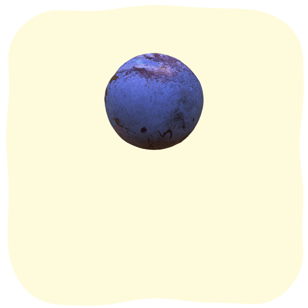 貴陽（きよう）