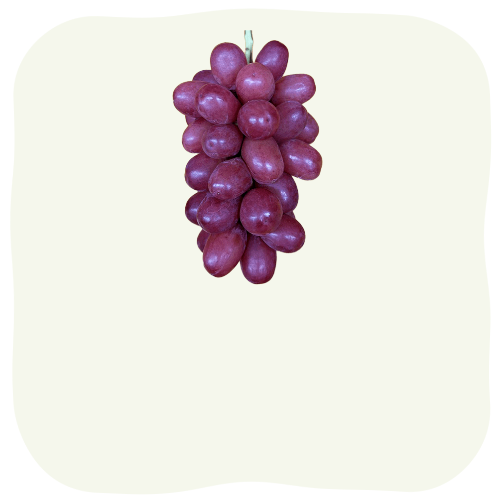 クイーンルージュ